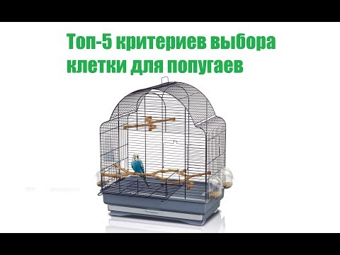 Топ-5 Критериев Выбора Клетки Для Попугая & Как Выбрать Клетку Для Попугая. Ветклиника Био-Вет
