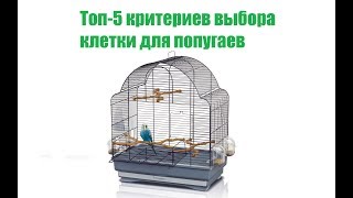 Топ-5 Критериев Выбора Клетки Для Попугая & Как Выбрать Клетку Для Попугая. Ветклиника Био-Вет Топ-5 Критериев Выбора Клетки Для Попугая & Как Выбрать Клетку Для Попугая. Ветклиника Био-Вет