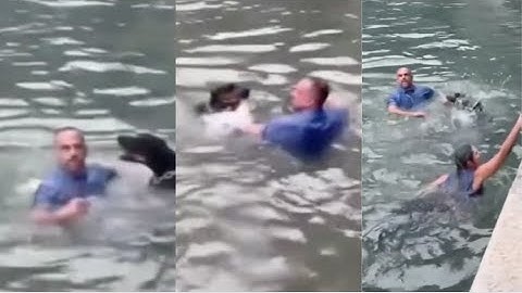 Policía busca a hombre que lanzó a un perro al agua en Brickell Key