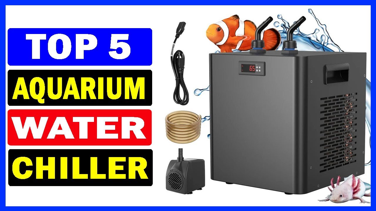 Top 5 Best Aquarium Water Chiller Of 2025