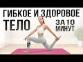 Активная РАСТЯЖКА на Все Тело за 10 Минут | Гибкое и Здоровое Тело в Домашних условиях