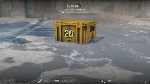 DAY 27 OPENING CS2 CASES UNTIL I GET GOLD!