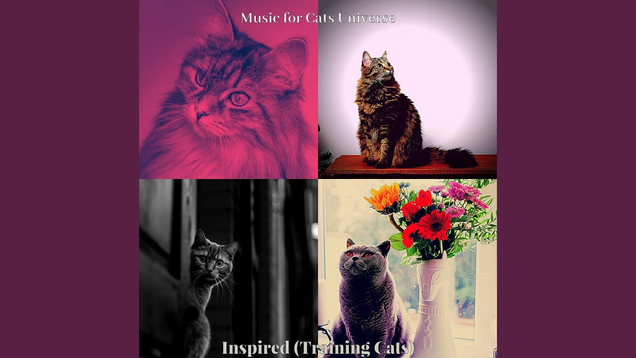 Caring (Cats)