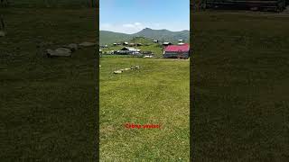 Catma Yaylasi Özkürtün