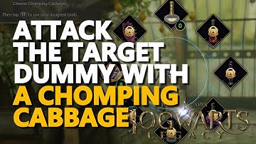Attack the Target Dummy with a Chomping Cabbage Hogwarts Legacy