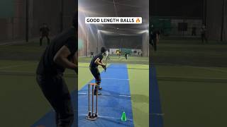 Cricket Line And Length Bowling 🤯 Bowler Showing Class Against Batsman Shots! 🔥 #cricket #shorts Resimi