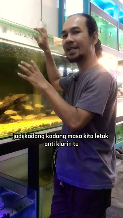 Cara paling selamat tukar air ikan perhiasan