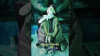 Gajanan Maharaj Prakat Din Status