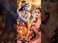 deke charno ki sewa #shreeji #ladliju #radhekrishnaa #harekrishna #treanding #love #krishna #shorts