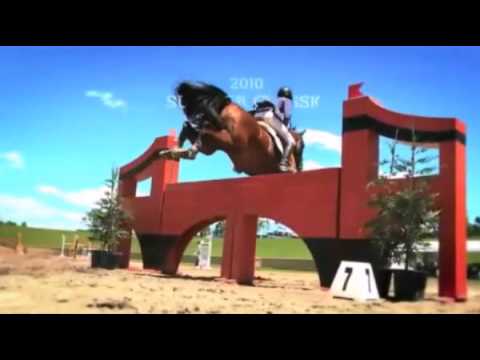 А мой смысл жизни -- это конный спорт