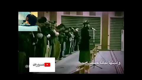 "كلما دخل عليها زكريا المحراب وجد عندها رزقا"تلاوة رائعة و جميلة للقارئ رعد الكردي من سورة مريم