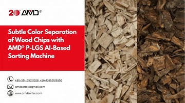 Subtle Color Separation of Wood Chips with AMD® P-LGS Deep Learning-based Sorting Machine