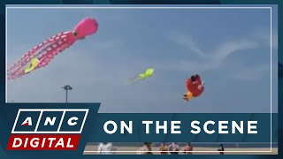 From sea creatures to cartoon characters, colorful kites fill Vietnam's Nha Trang beach skies | ANC