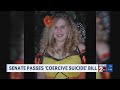 Tennessee Senate passes 'coercive suicide' bill