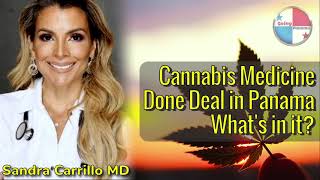 Dra. Sandra Carrillo: Cannabis Medicine is Legal in Panama. Now what?