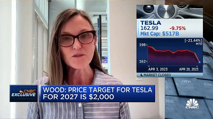 Ark Invest CEO Cathie Wood has a $2,000 price target for Tesla in 2027 - 天天要聞
