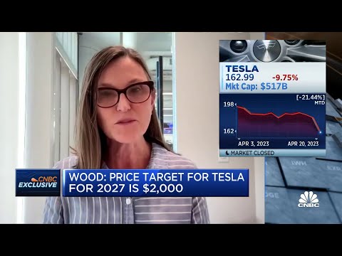 Ark invest ceo cathie wood has a $2,000 price target for tesla in 2027