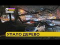 Автопатруль112 / Поскользнулся / Упало дерево / Хрупкий лёд / 23.11.23