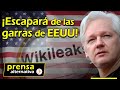 URGENTE! Tribunal hace importante concesión para Assange