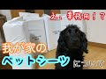 【多頭飼い】我が家で使っているペットシーツを紹介します