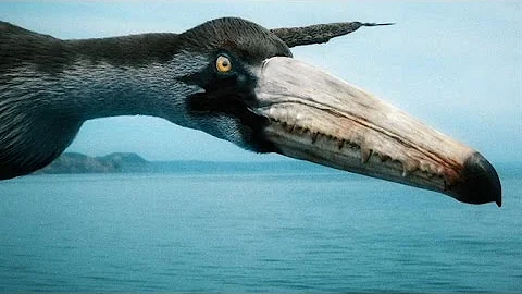 How the Largest Flying Bird of All Time Stayed Airborne - DayDayNews