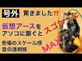 168 仮想アースの意外な使用方法と効果 認知度0 ナチュラルサウンド入手 ノイズ電磁波対策 仮想アース自作 冷蔵庫のアース接続 音質改善マル秘大作戦168 オーディオ入門
