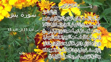 سورة يس - اليوم  الثاني - من الاية 11 الى الآية 15