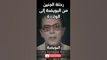 مصطفى محمود يشرح رحلة الجنين من البويضة إلى الولادة العلم والإيمان 
