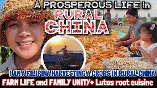 A PROSPEROUS LIFE in RURAL CHINA| Family Unity and Life as a Filipina 