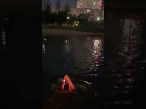 Полицейские вытащили тонущего мужчину из канала в Астане