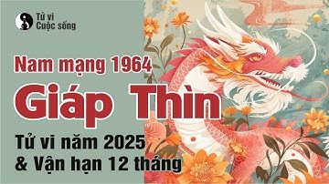 Tuổi Giáp Thìn 1964 Nam mạng - Chi tiết Tử Vi năm 2025 và Vận hạn 12 tháng