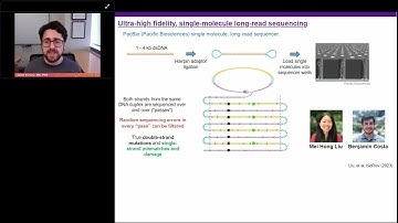 Sequencing Single-Strand Mismatch and Damage Patterns by Long-Read Sequencing