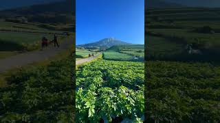 Download Lagu Dbagindas - Ay #katabijak #shorts #dbagindas #ay MP3