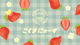 こぐまの3がつふりかえりLIVE | VTuber