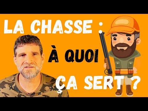 Vidéo: La Chasse à L'énigme - Vue Alternative