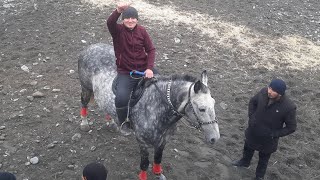 картинка: Бузкаши дар дехаи Кизилчар 16 12 2023 кисми 3.
