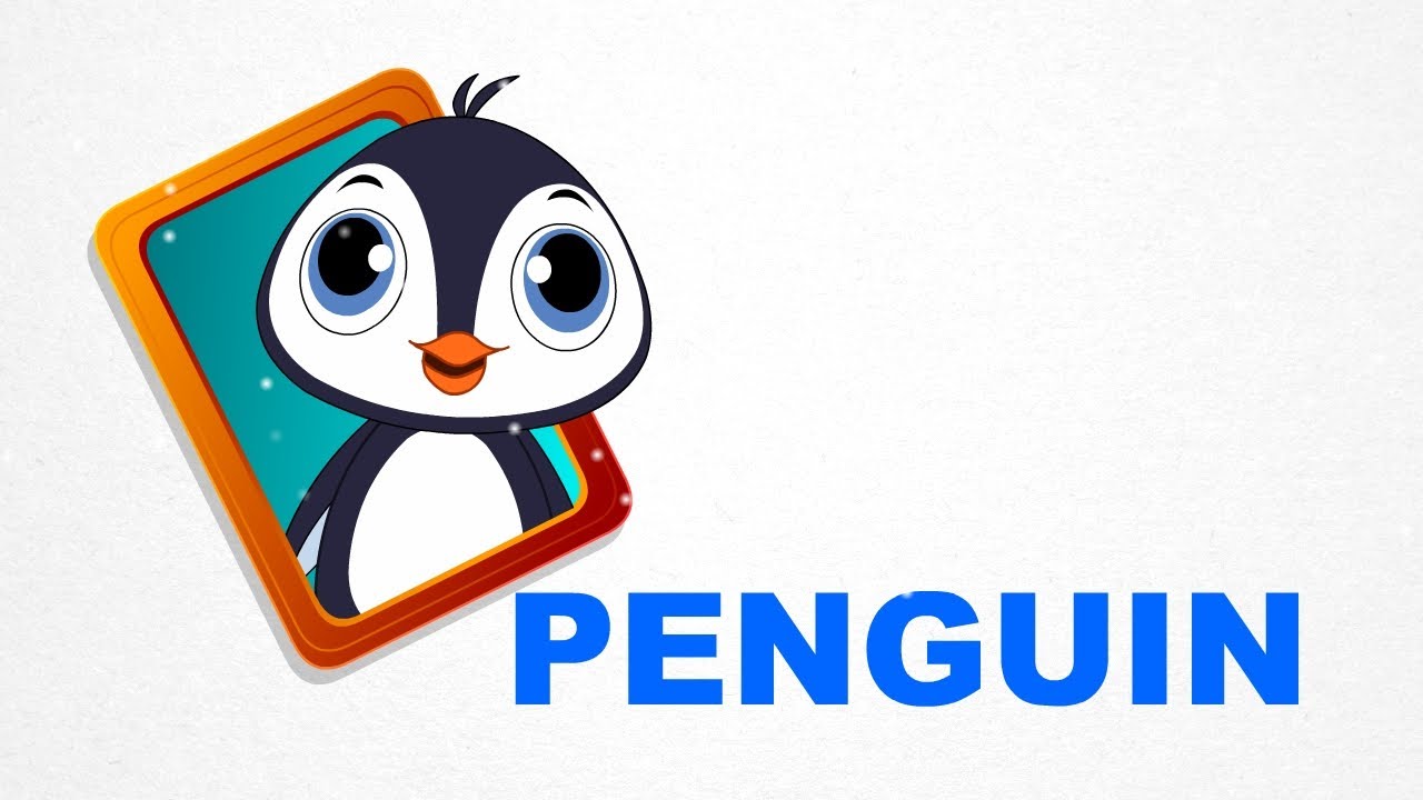 picture How To Spell Penguin penguin birds pre school learn spelling videos for kids