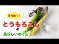 【圧力鍋のプロ直伝！】とうもろこしのゆで方。圧力鍋で時短！楽！甘い！