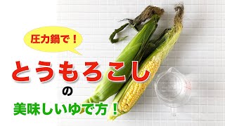 【圧力鍋のプロ直伝！】とうもろこしのゆで方。圧力鍋で時短！楽！甘い！