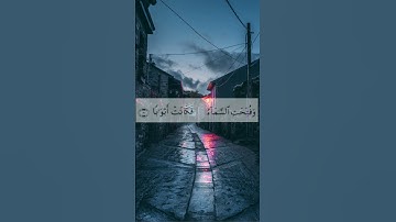 من سورة النبأ - رواية السوسي عن أبي عمرو | نادر فليونه