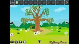 Easter Basket Escape Video Walkthrough