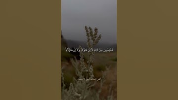 انس المالك| سورة النساء