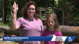 Storm uproots trees and damages property in Lancaster County