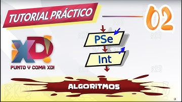 PseInt 02 - Algoritmo, Perfiles, Variables y Comandos,