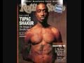 Tupac Shakur - Just The Way U Want It Ft. Assassin.wmv