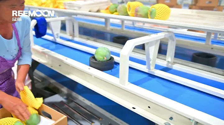 HEFU Machine - Mango Grading - REEMOON