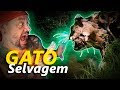 ATACADO POR UM GATO SELVAGEM? | RICHARD RASMUSSEN