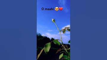 Thumbnail of 😍o maahi❤#bud😍