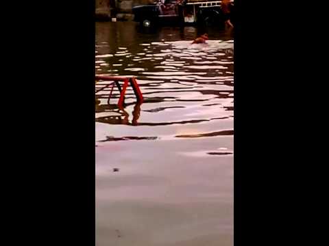شباب حي اور يسبحون في مياه فيضانات موافق ٢٠١٥ ١٠ ٢٩