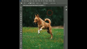 remove object in photoshop..      ✨✨. #photography #public #photoshopvideo #youtubeshorts #viral